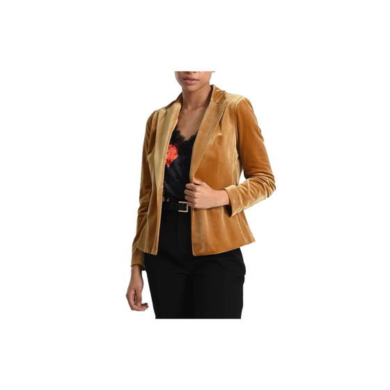 Classic Velvet Blazer