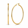 Ellie Vail Laurette Large Hoop in Gold